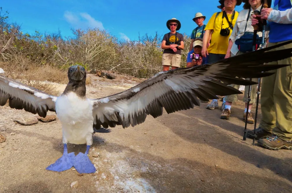 Paisajes volcánicos de Galápagos