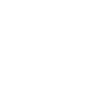 logo boarding pass white