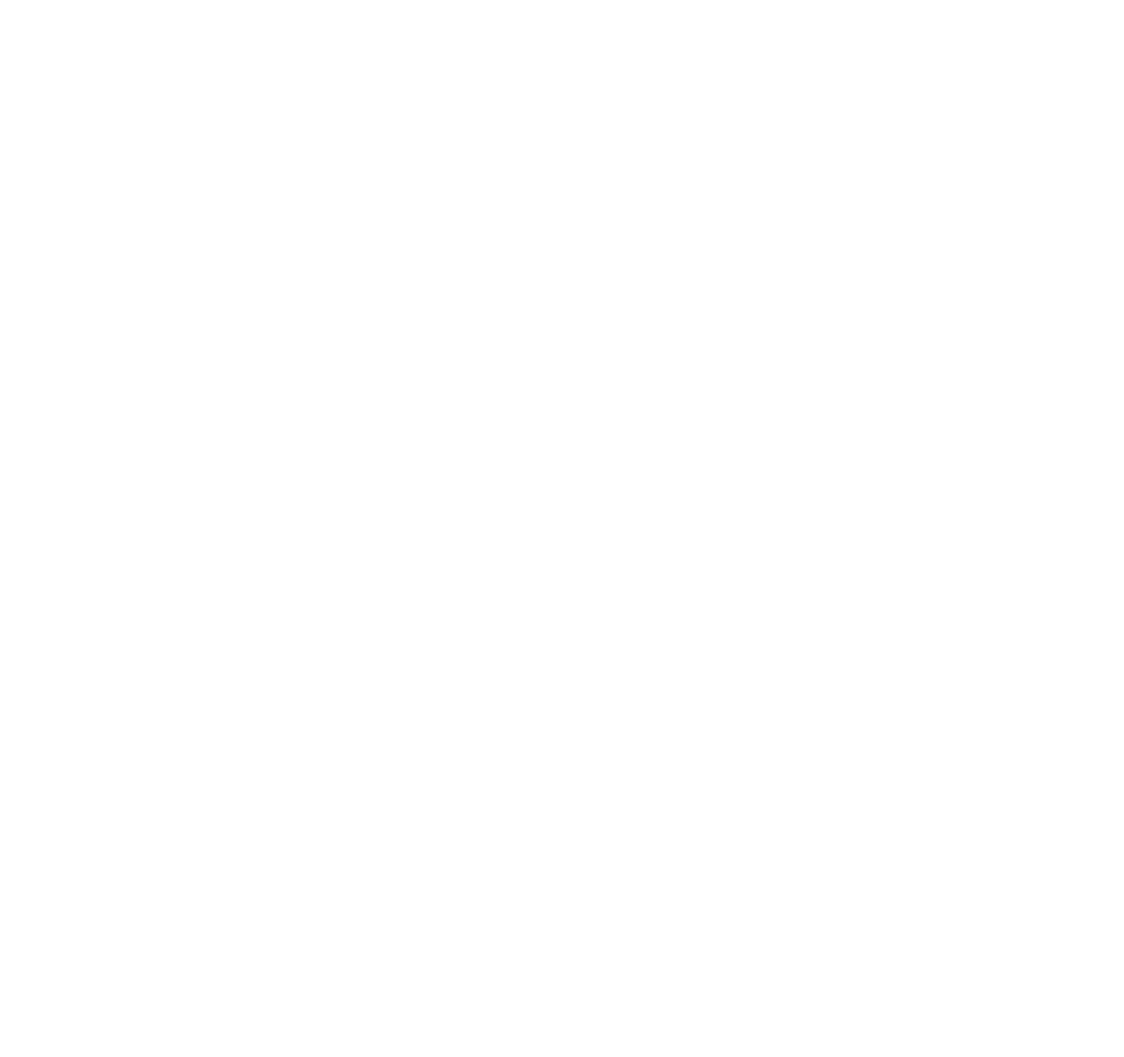 logo boarding pass